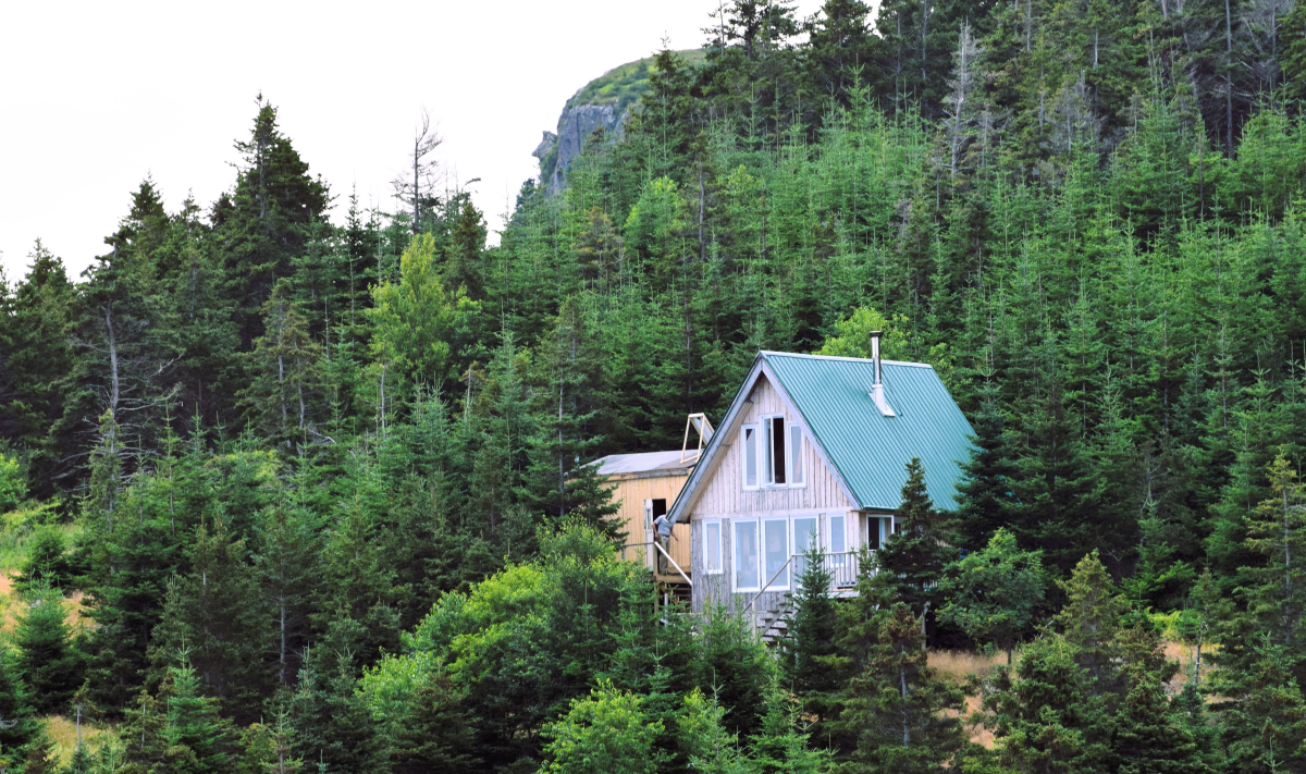 Una cabaña en Terranova rodeada de árboles.