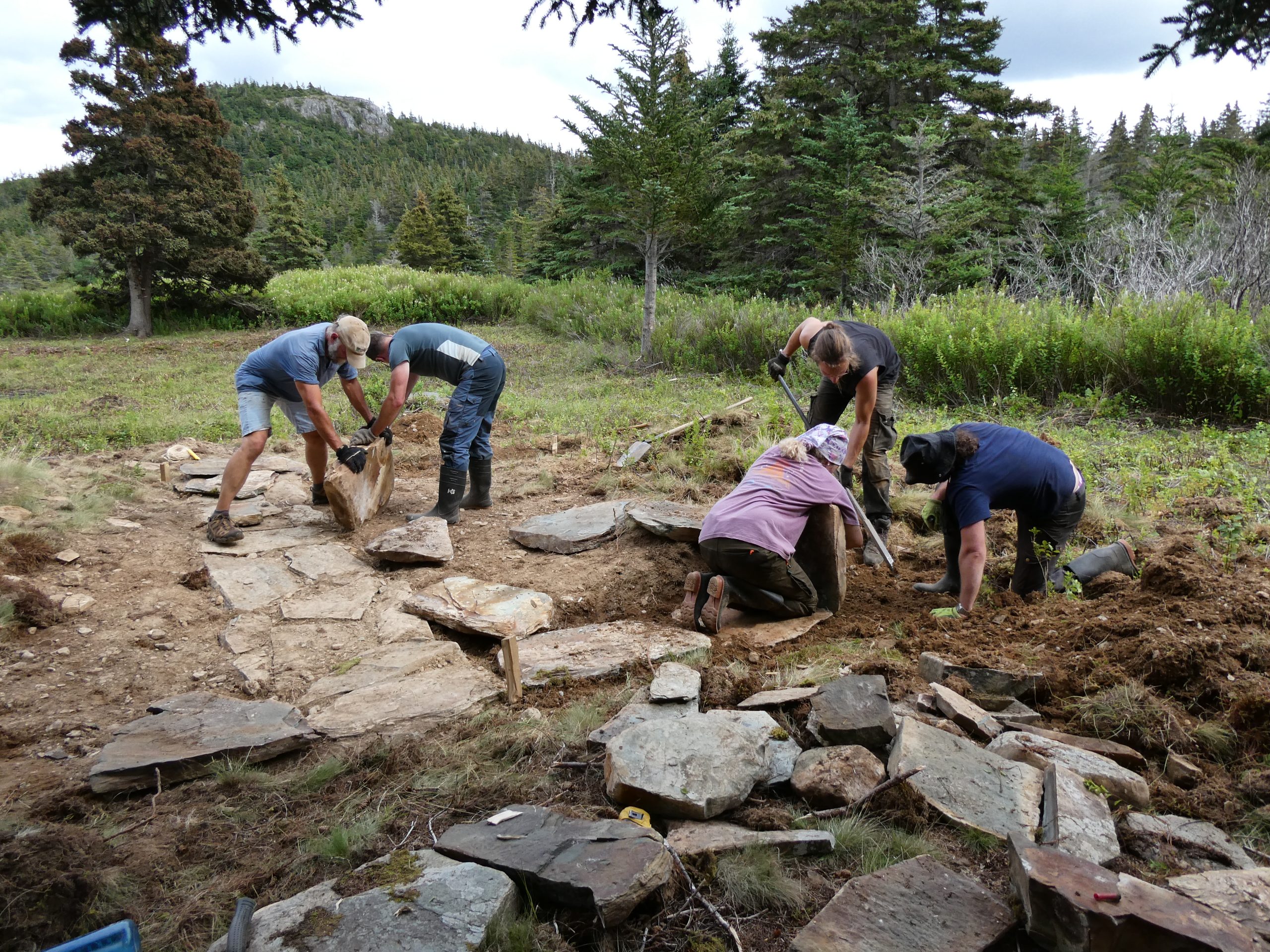 Sean McGrath and FANE Field School Attendees work in the forest