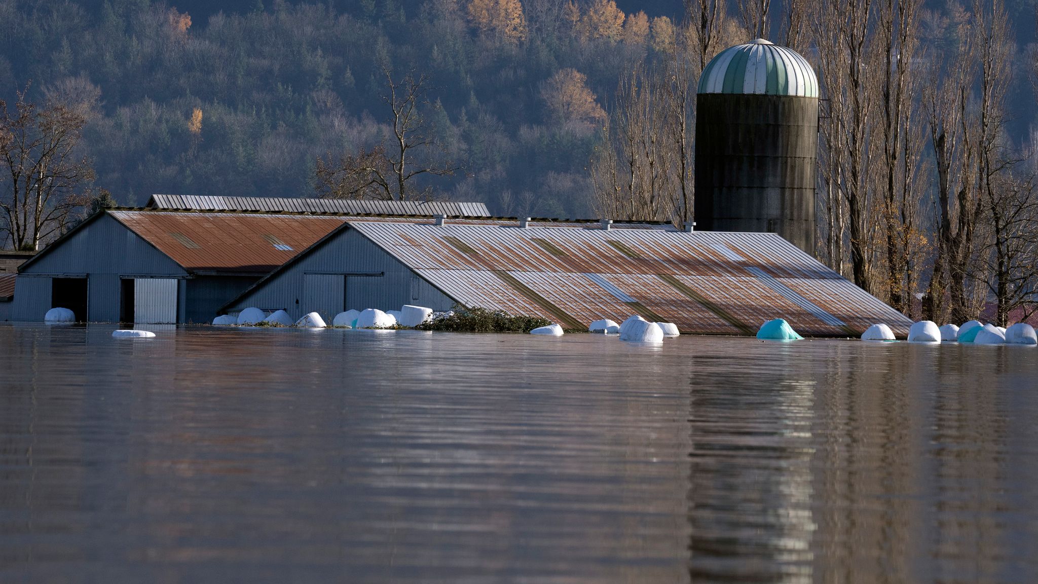 skynews-flood-farm-canada-british-columbia_5589319